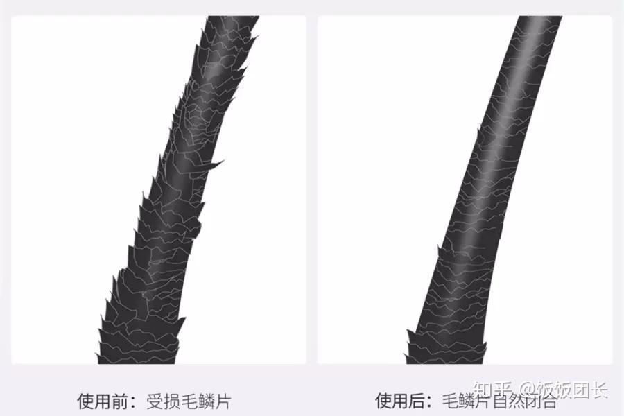 送给她最养生的礼物猪鬃气垫顺发梳