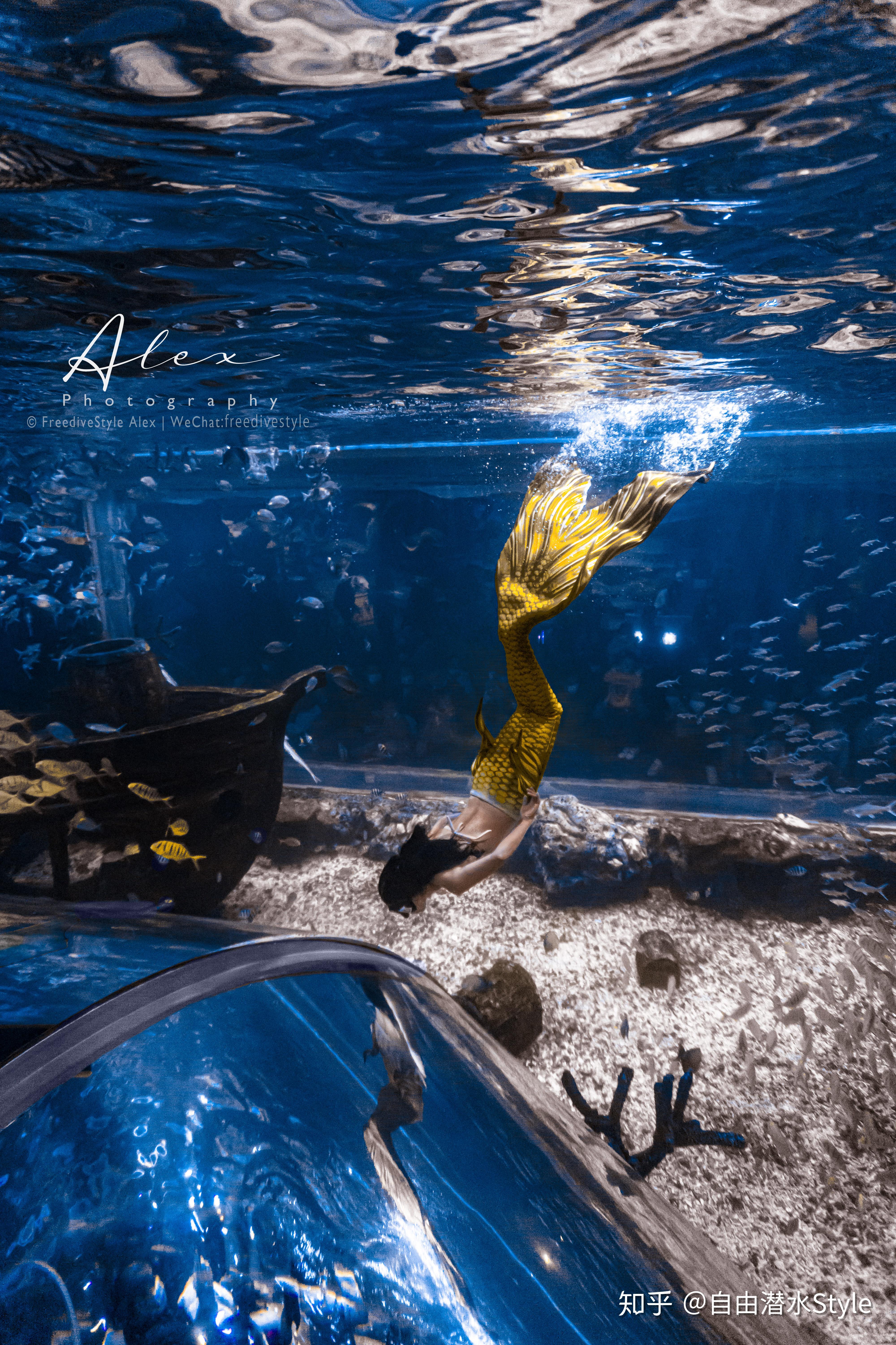 自由潜水～水下摄影