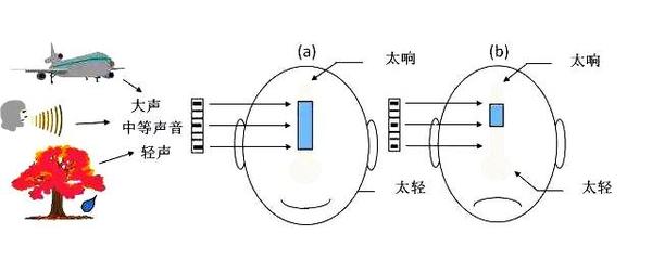 壹听健康 耳聋为什么还怕吵 知乎