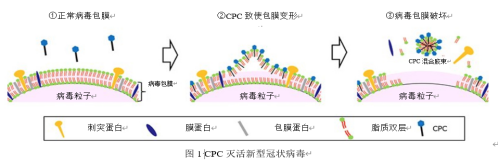 国外权威研究机构2022年研究:开刻立可有效灭活新冠 - 知乎
