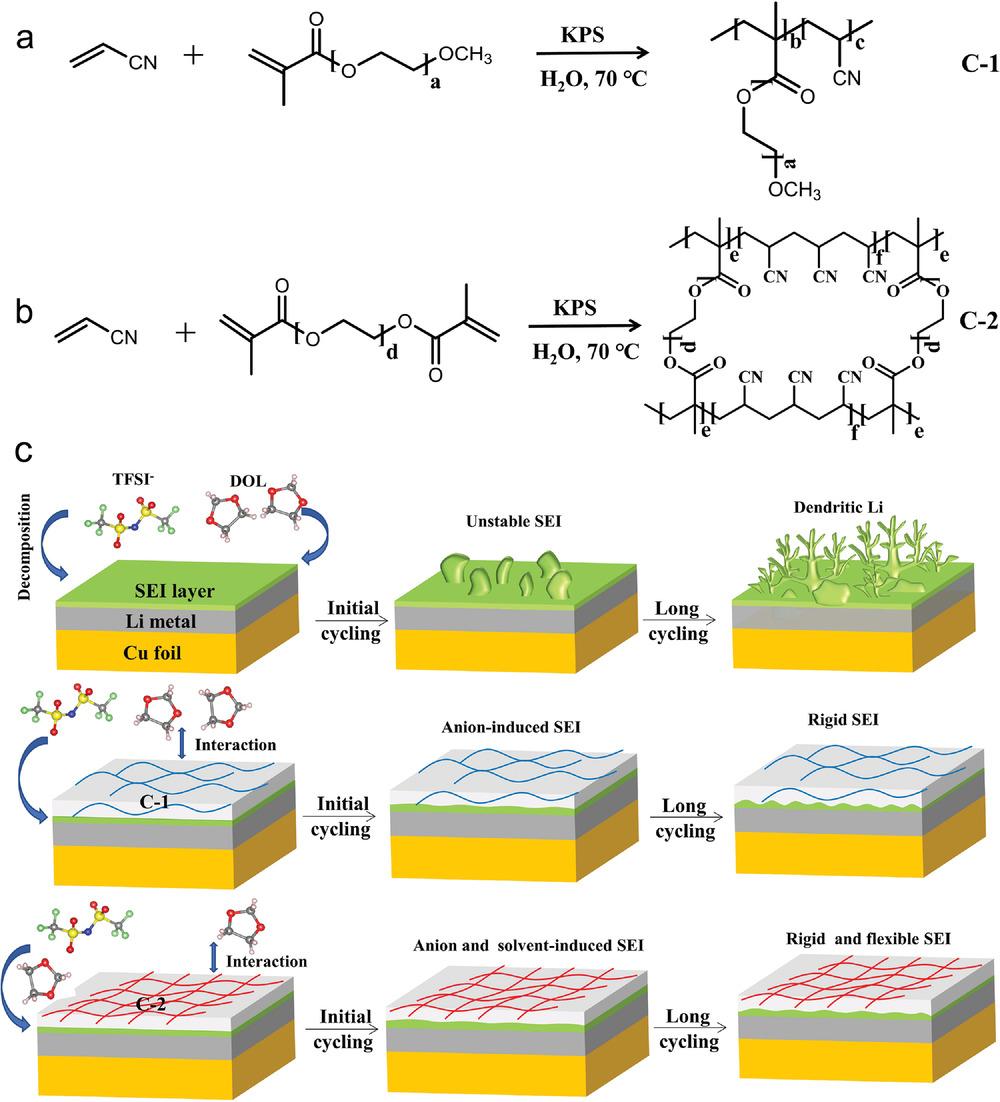 advenergymater交联聚合物形成刚柔并济sei层以实现超薄锂金属负极