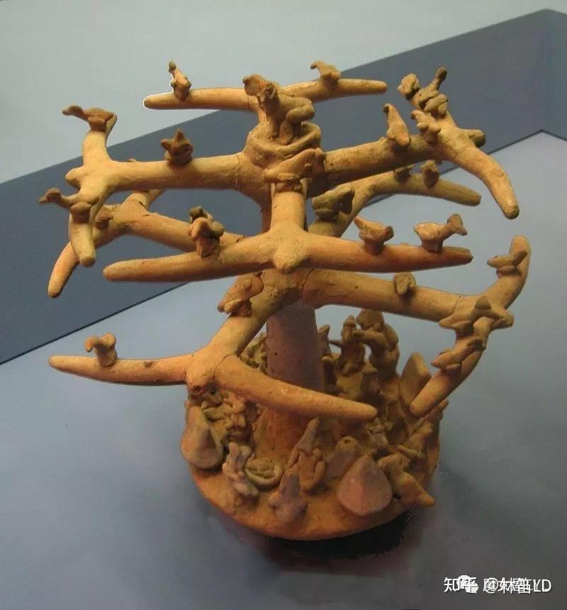 生命之树——全世界人民都在膜拜的神树 - 知乎
