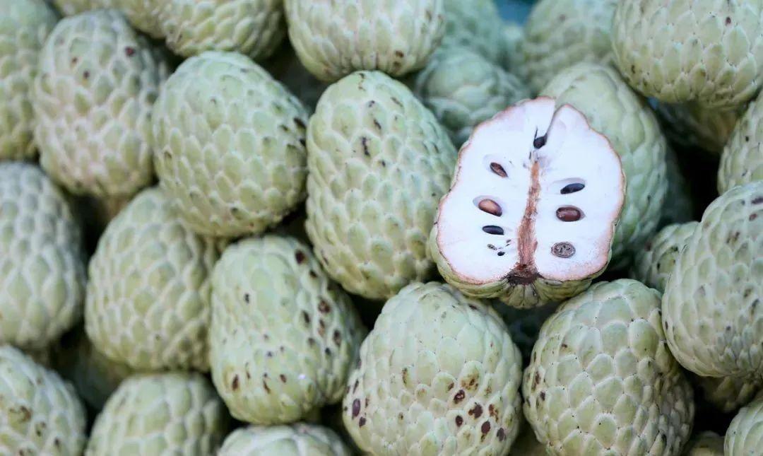 custard apple