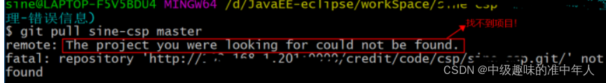git clone 的时候提示 remote: The project you were looking for could not be ...