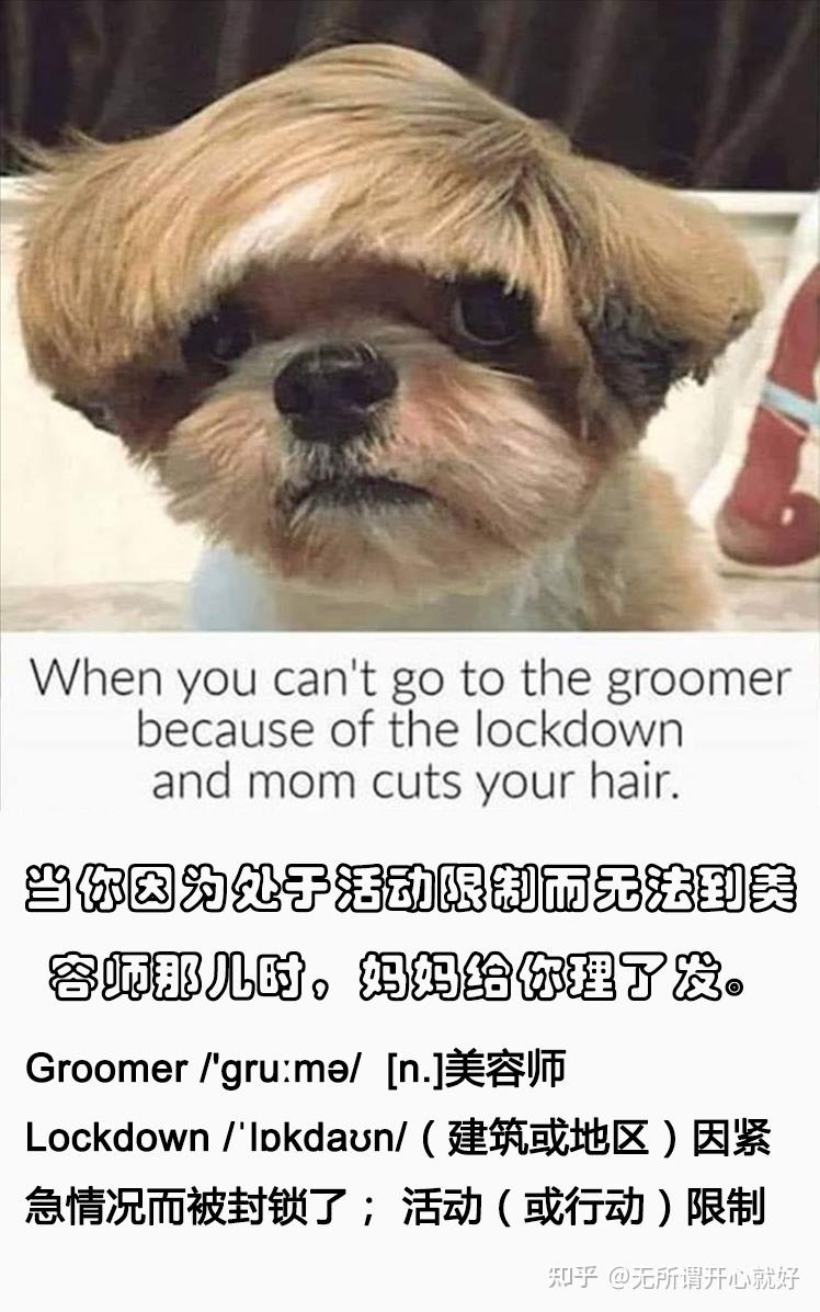 (样稿-10)国外幽默搞笑英语图文并茂翻译&注释第2集