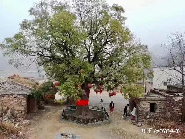 世界几大酒店集团及其旗下品牌的定位是怎样的 知乎