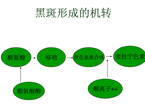 什么方法 v2-68f7ab0a160a60f08a4a56732d302f31_r.jpg