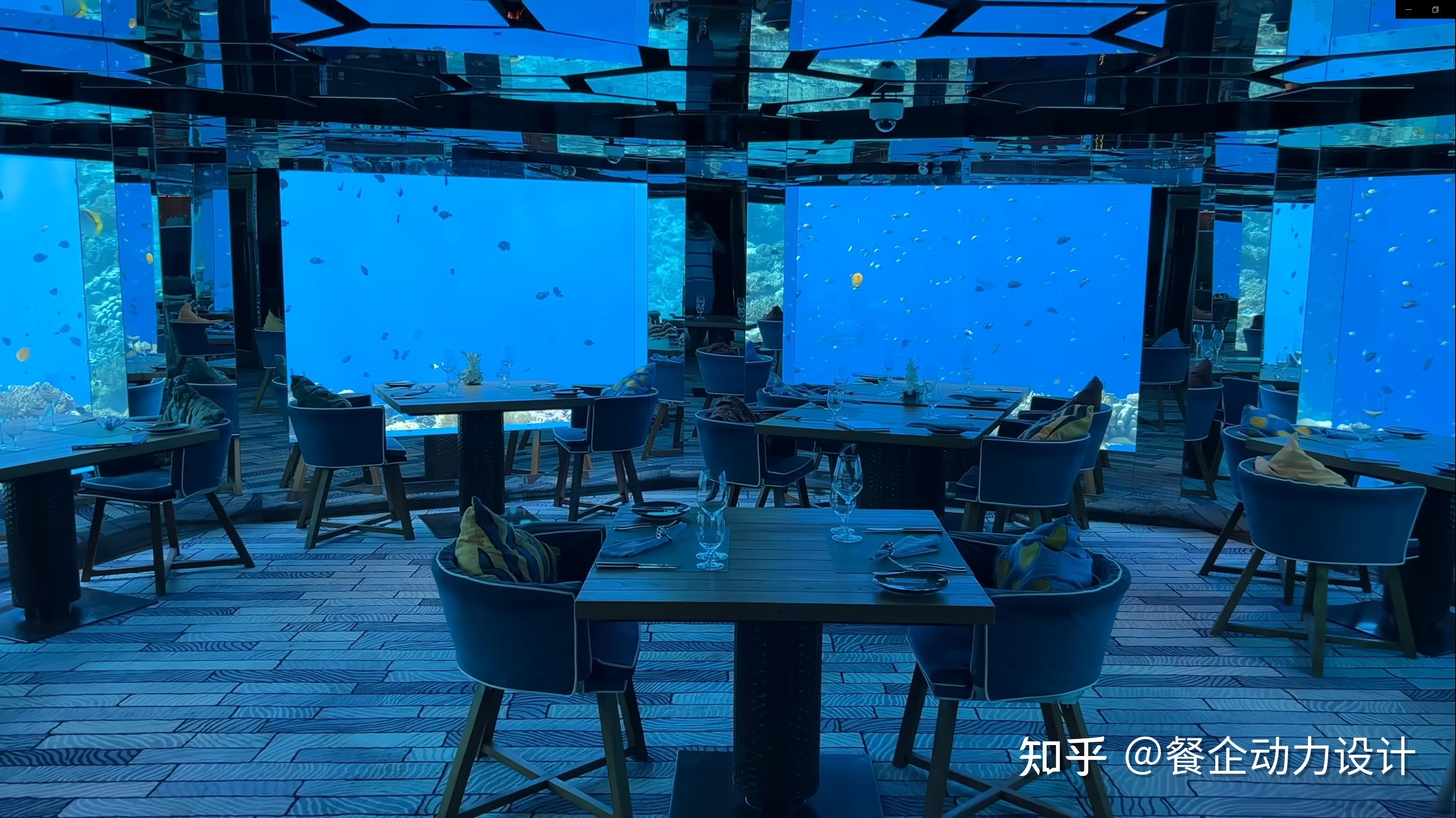 挪威海底餐厅,零距离接触海洋__凤凰网