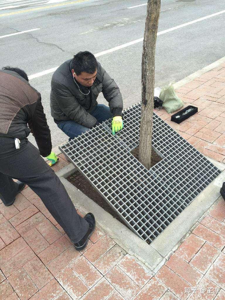 玻璃钢格栅树篦子树坑盖板护树板