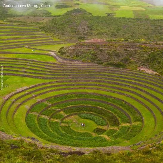 上下五千年,秘鲁居然是地球另一端的文明古国?