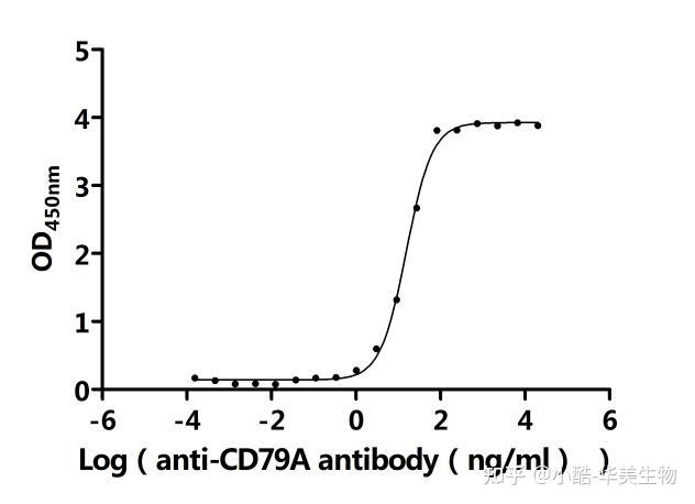 探秘CD79A 和 CD79B：B细胞信号传导与疾病诊疗的核心密码 - 知乎