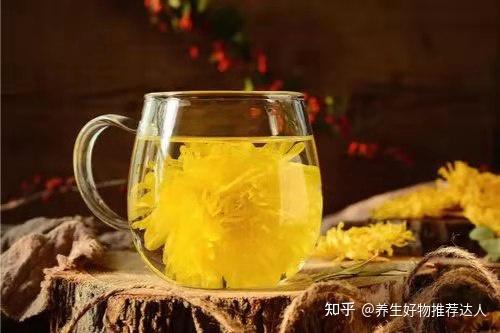 金絲皇菊花茶的功效與作用及禁忌看看你喝對了嗎