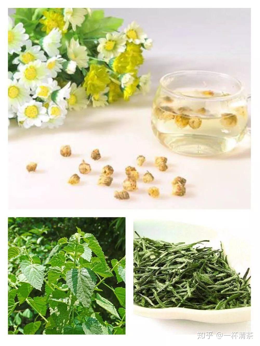 益肝解毒茶疗李子茶取新鲜的李子洗净切片放入煮茶器.