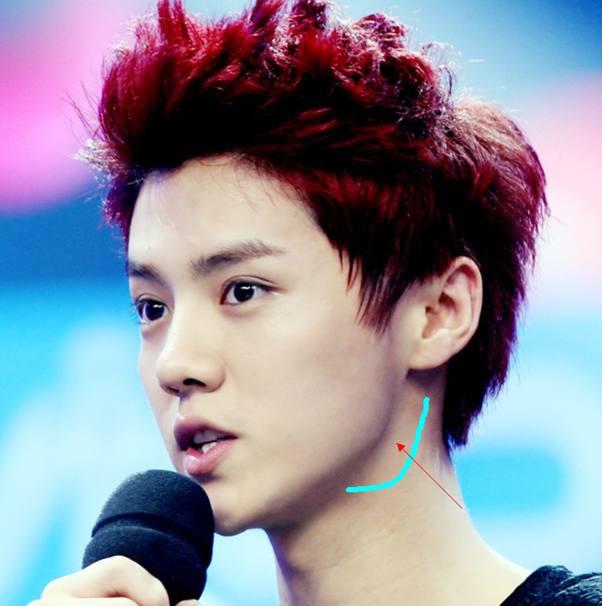 随着鹿晗恋情的公布鹿晗也被爆出