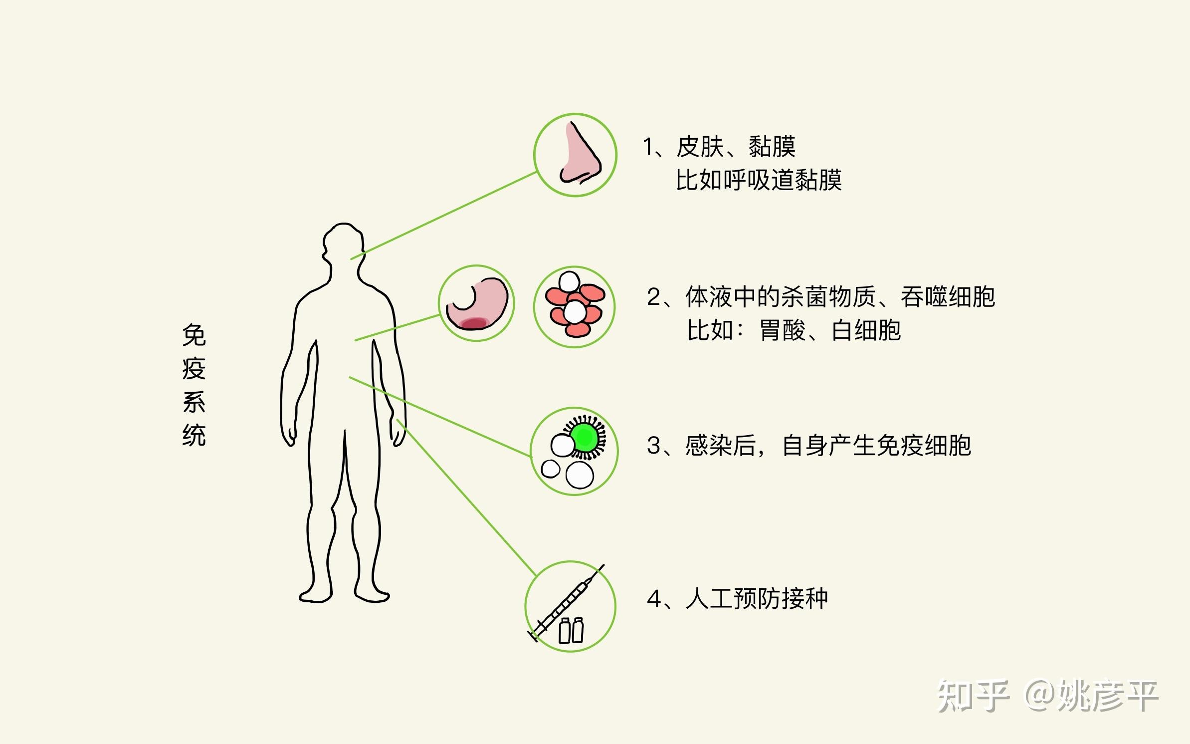 探索瑜伽理疗的秘密如何提升免疫力