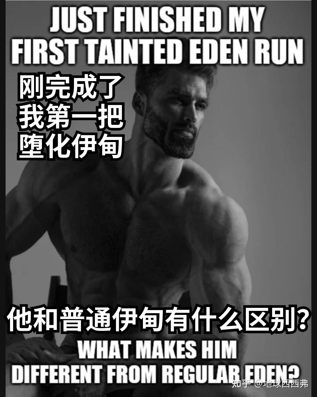 【每日meme】以撒的结合 篇 - 知乎