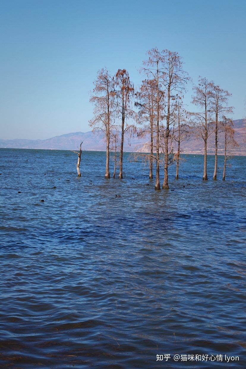 珍藏的适合做壁纸的蓝色调图片