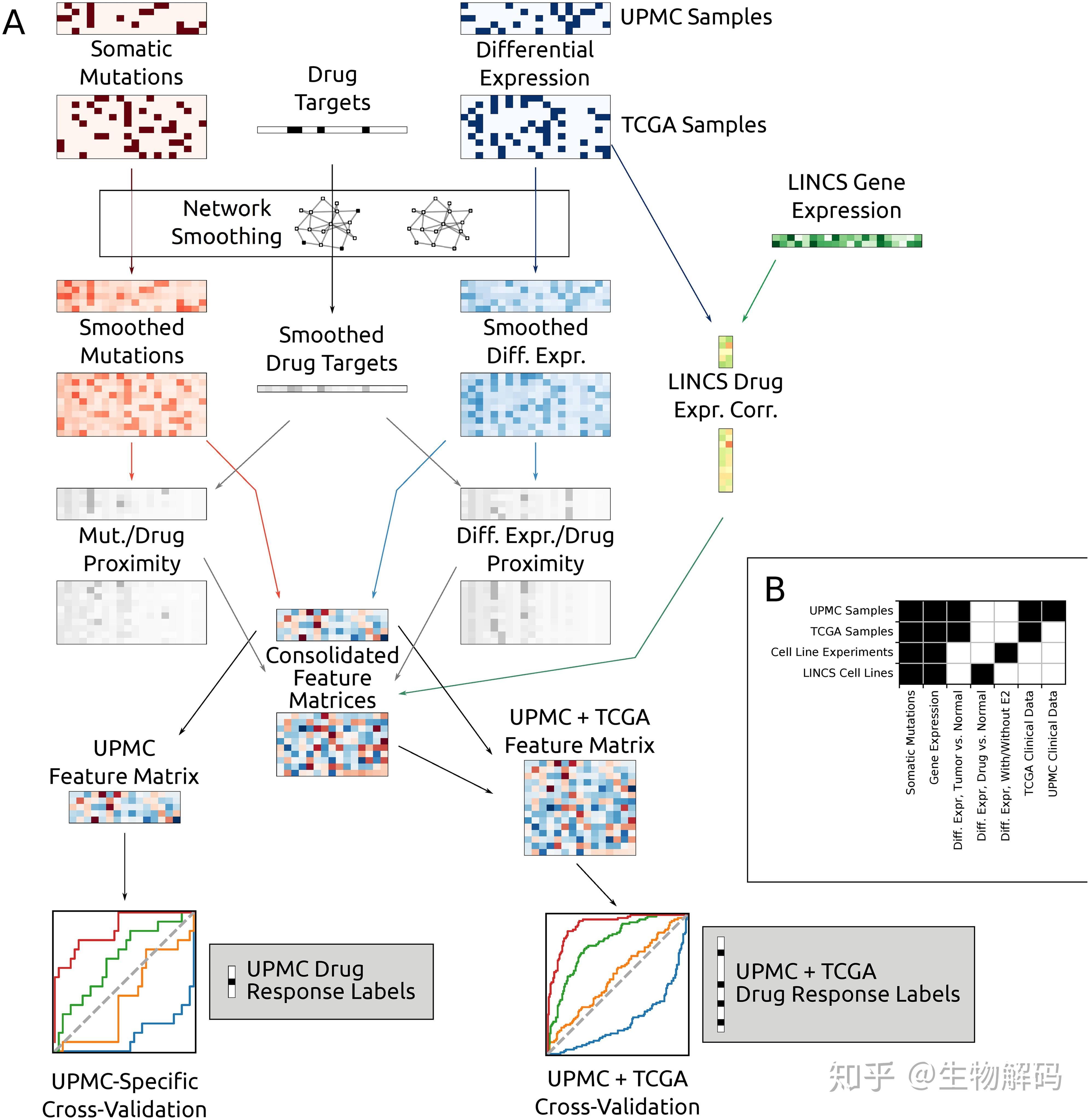 the new york times magazine遗传学家们开始使用古人类的骨头对