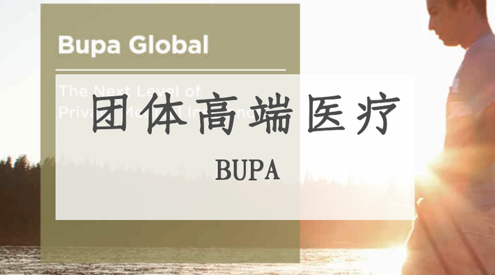 企业团体高端医疗篇 一 Bupa 保柏 全球团体医疗保险 知乎