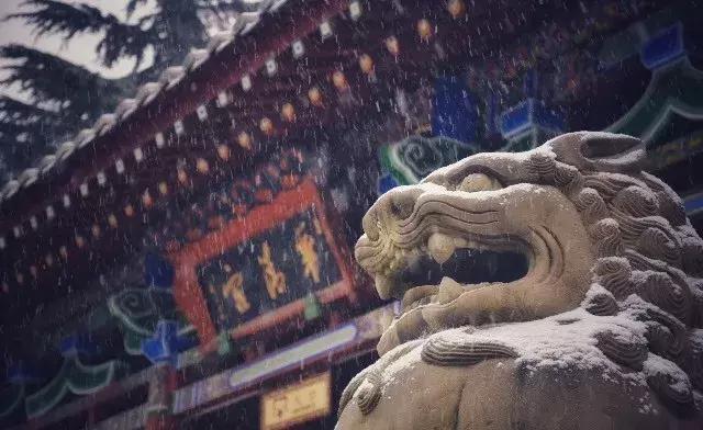 华清宫雪景图片