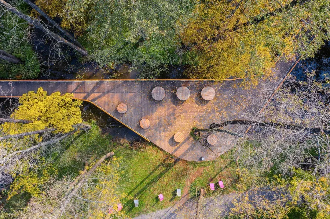 城市休闲区该怎么设计以亲水社区公园示例来告诉你