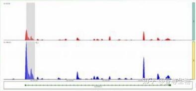 Merip Input MeRIP-seq(常量&微量)测序及应用介绍 - 知乎