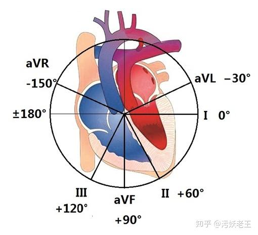 额面六轴系统:额面六轴系统是指将六个肢体导联的起点汇聚在同一点后