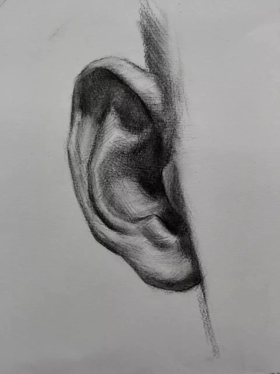 素描干货怎样画好人物五官掌握这些技巧高分稳了