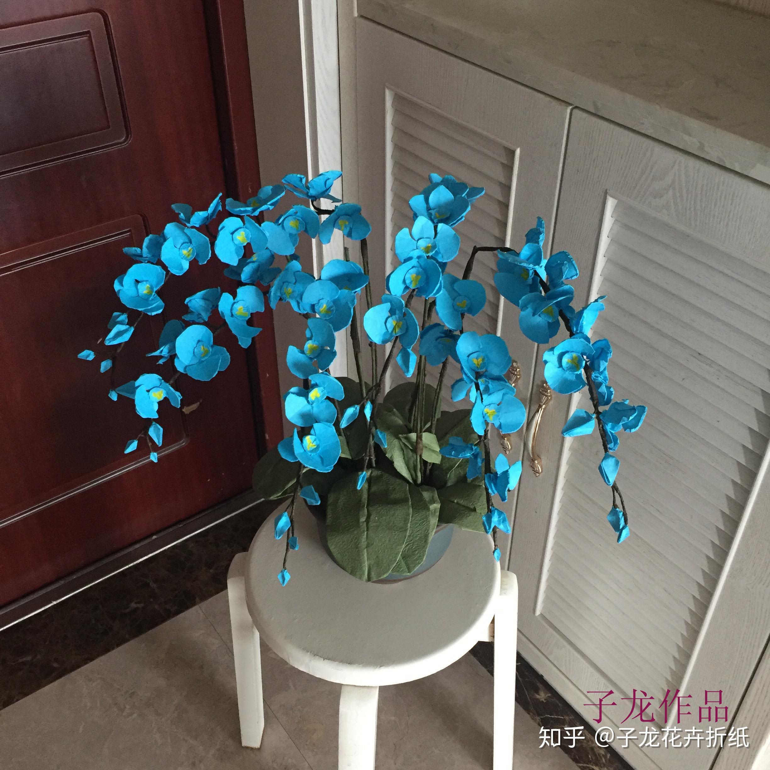 蝴蝶兰折纸惊天出世子龙发明