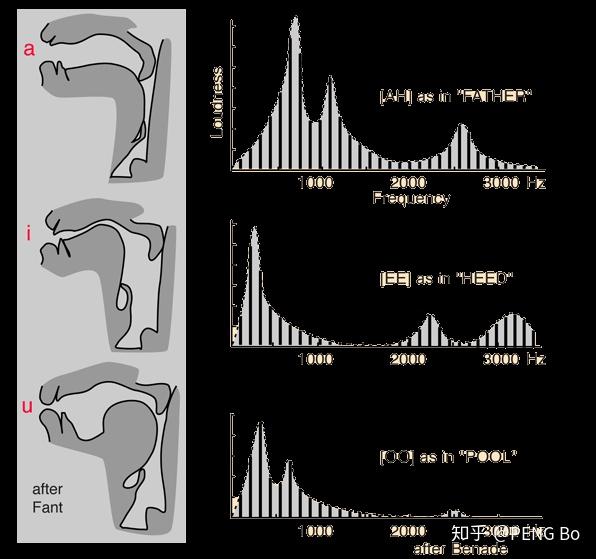 谈谈语音识别与人声的物理原理以及真声假声头声混声等概念