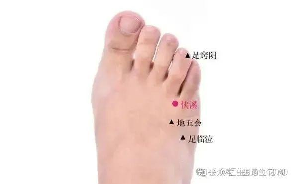 针灸科普—每日一穴(侠溪) - 知乎
