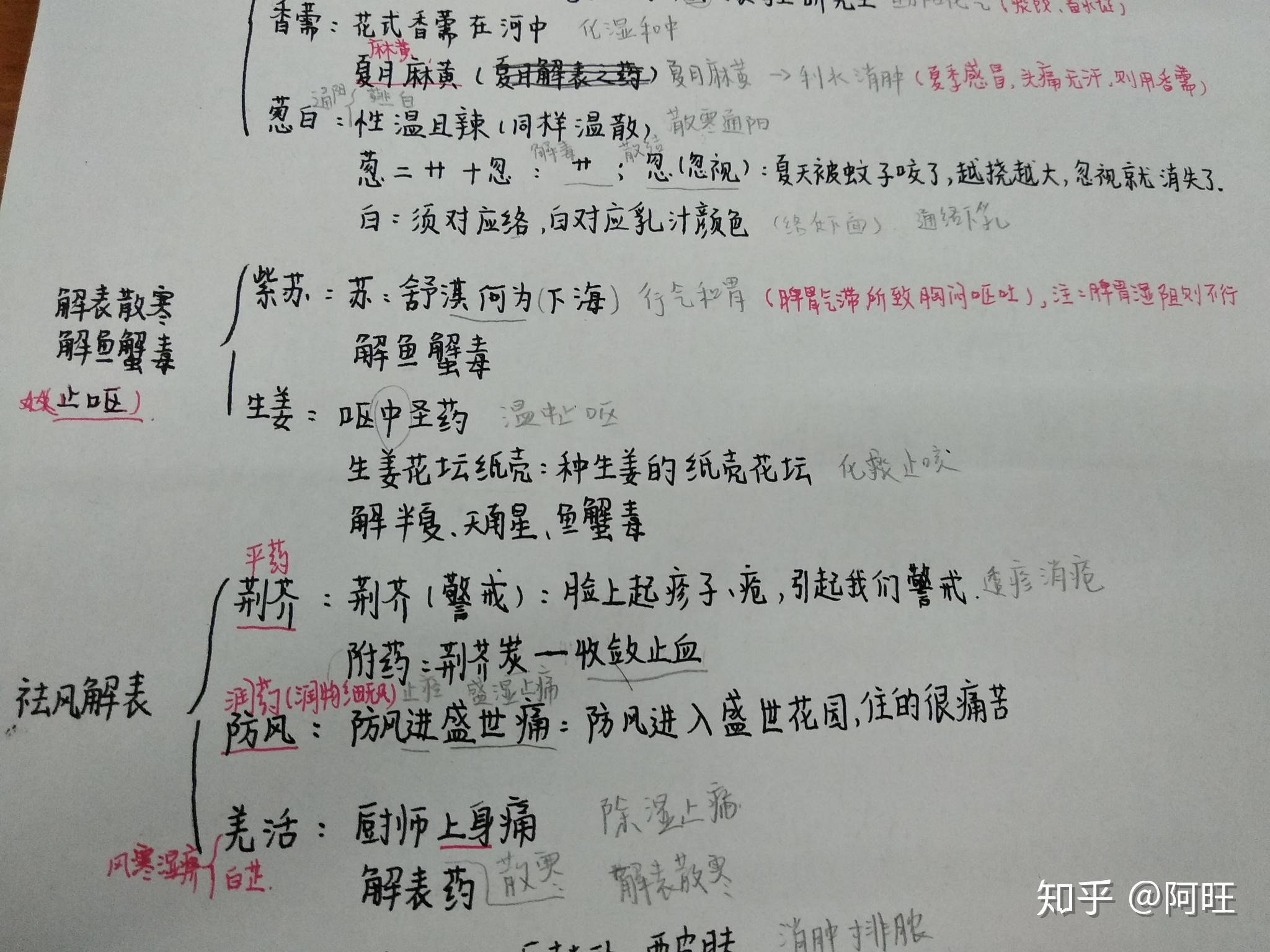白芷简谱_中药白芷图片(3)