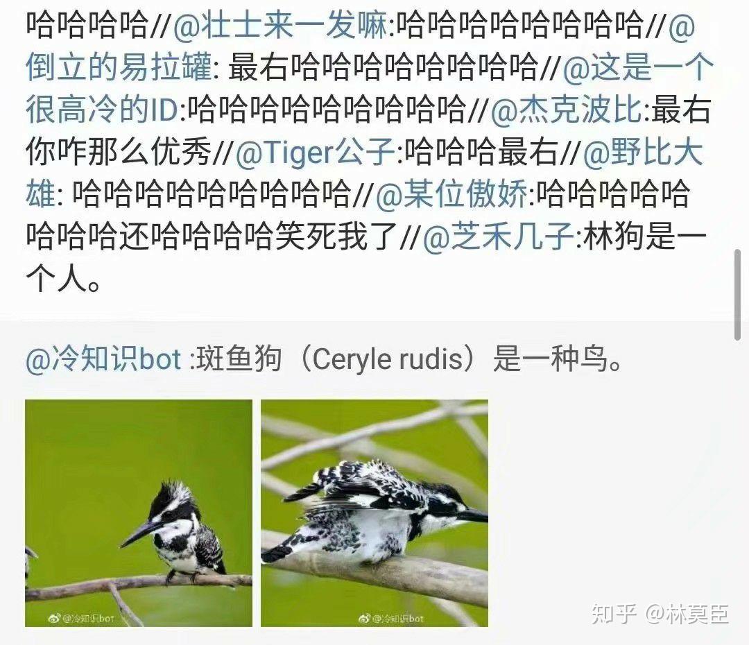 思是什么意思用在名字上 v2-69d61781e0f52b0f020dd5d5d34159d1_r.jpg