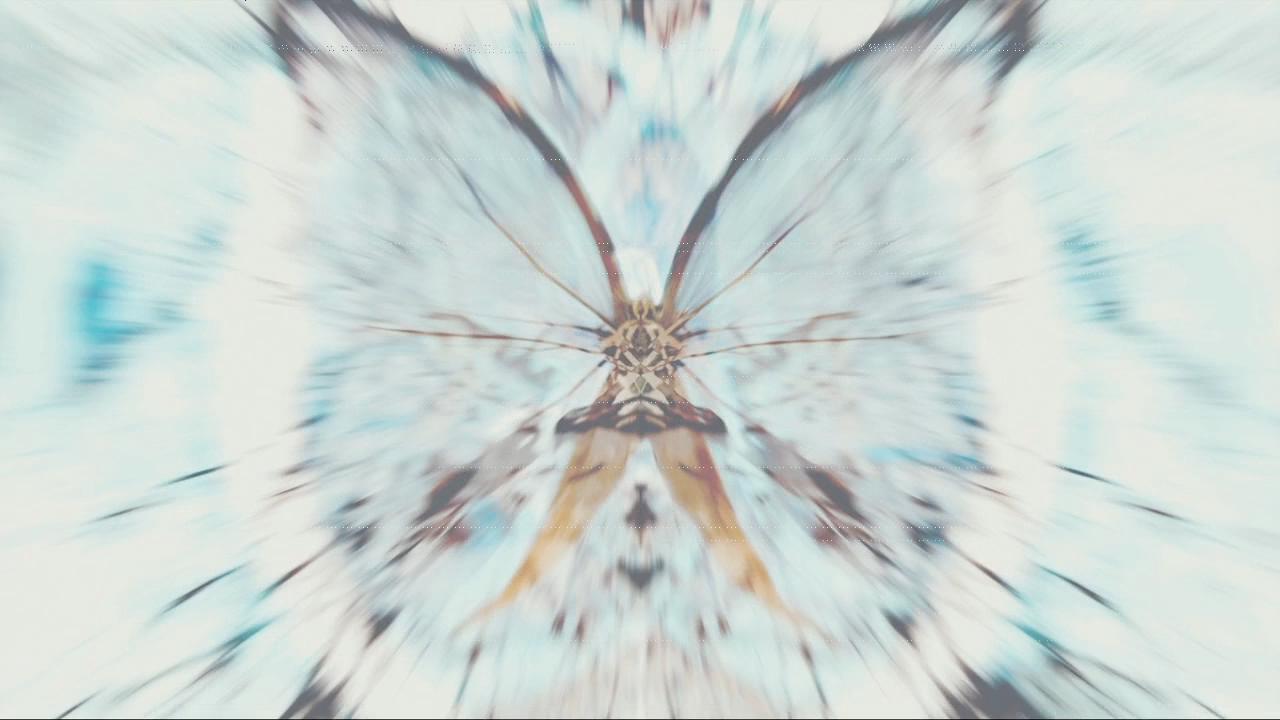 v2-69dfe4d0867dbac1dd4bc2d5f5a8b809_1440w.jpg?source=172ae18b