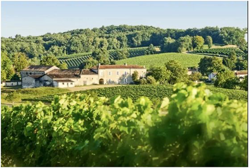 干邑镇(cognac)位于法国的西南部,是顶级白兰地的家乡.