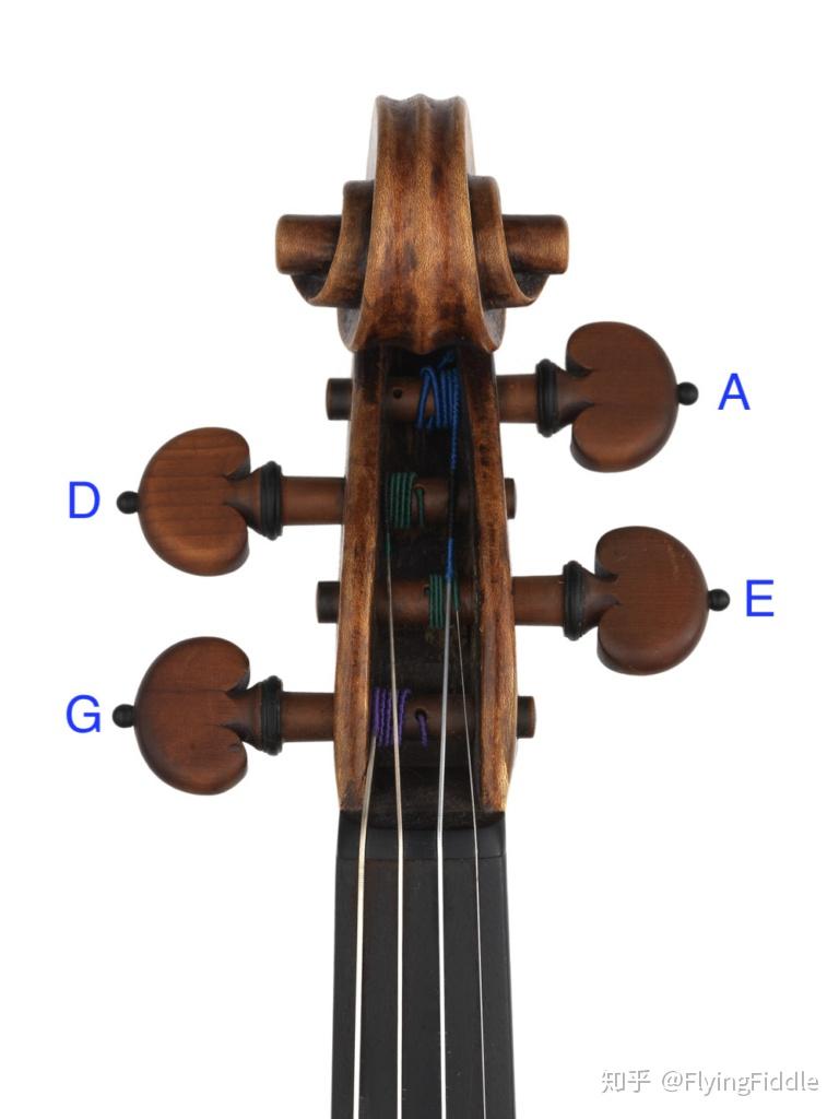 零基础学fiddle一准备和调音