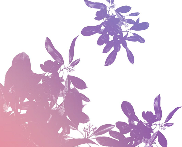 10个超实用procreate小技巧,大大提高绘画效率! - 知乎