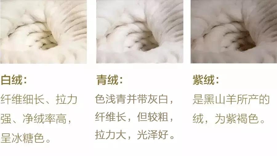 买羊绒？几百块和几千块的区别，你懂的… - 知乎