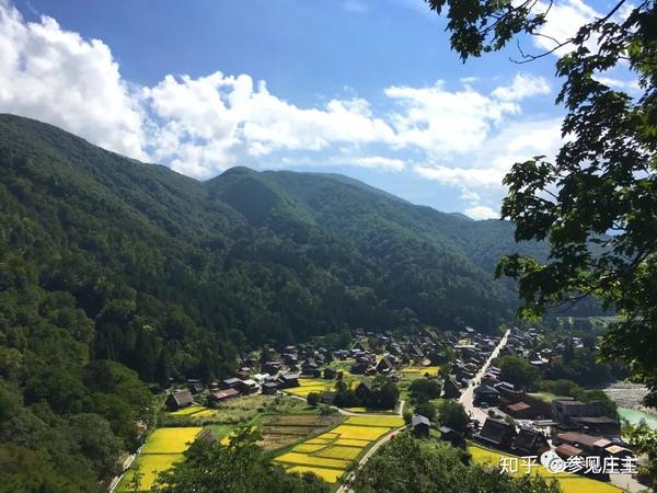 实地探访 日本最美乡村 凭114栋茅草房名闻天下 知乎