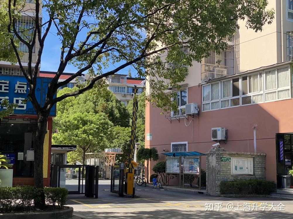 浦东热门,入户年限逐年递增|海桐小学(樱花校区)测评 - 知乎