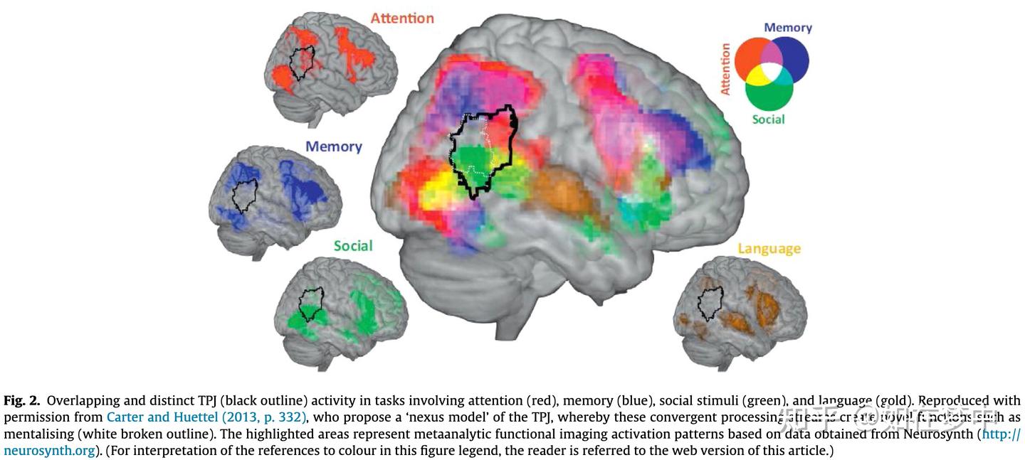 脑网络简介- 知乎