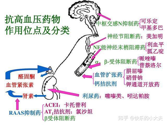降压药怎么选医生提醒最安全的降压药是这种优缺点要清楚