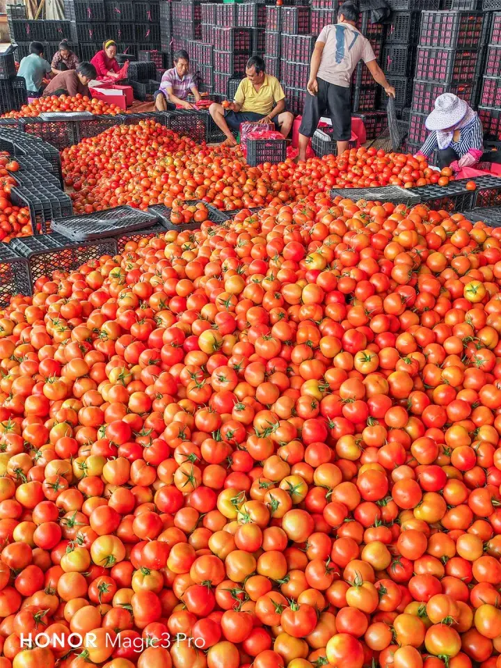 国家制定了一系列方针政策以缓解食品供应不足的问题并命名"菜篮子