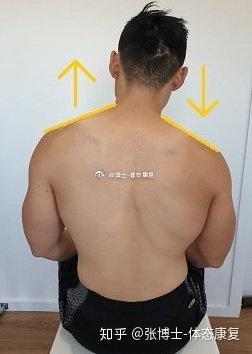 体态矫正 不良体态对肩胛骨的影响 处理肩胛骨内侧痛的14个步骤 知乎