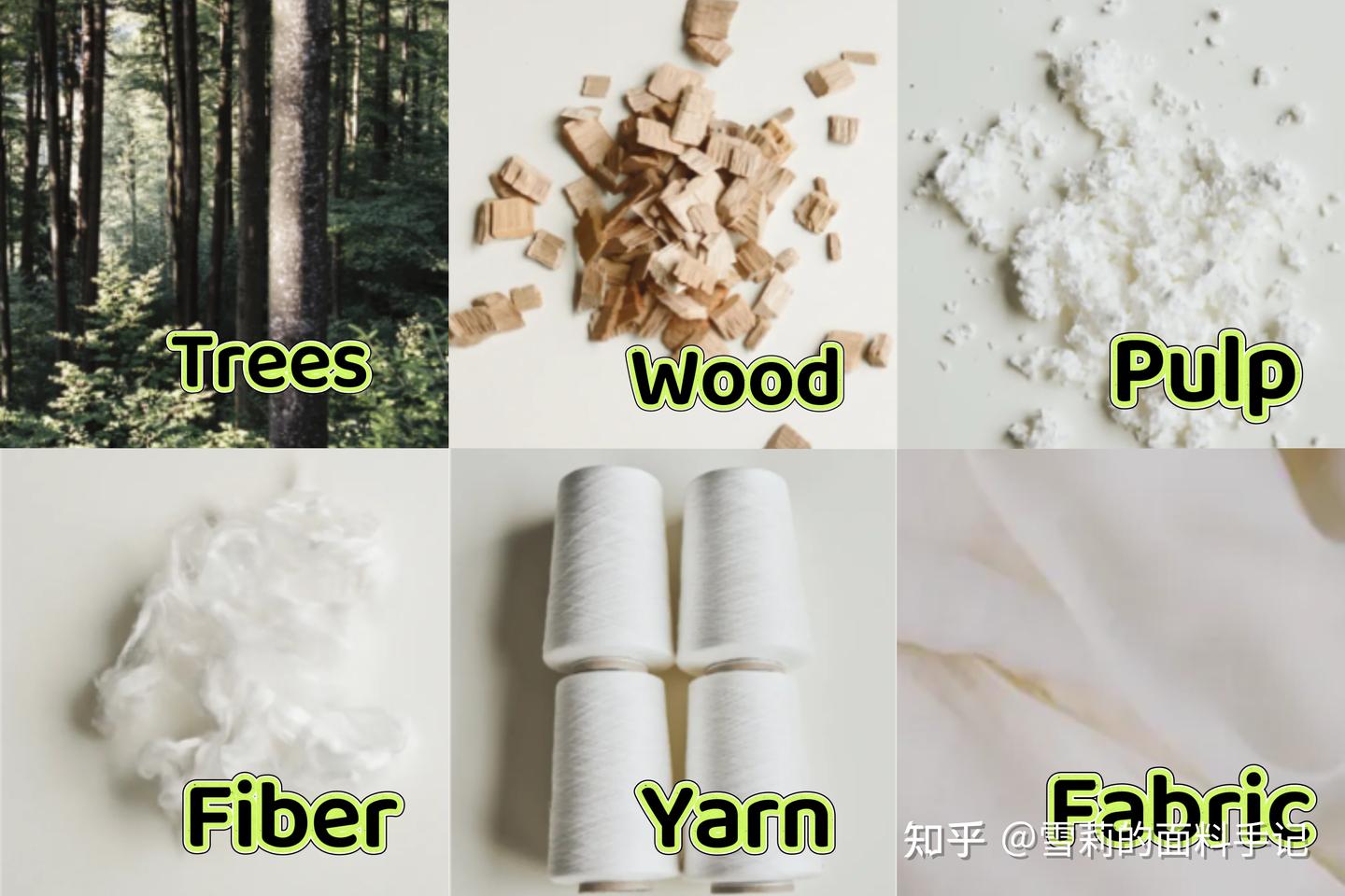 天丝是什么面料?| 雪莉的面料手记Vol.7 - 知乎
