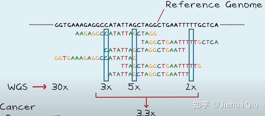 DNA-DNA序列二代测序? - 知乎