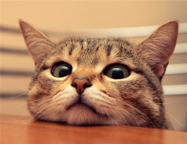 浅析linux系统入侵排查与应急响应技术 知乎