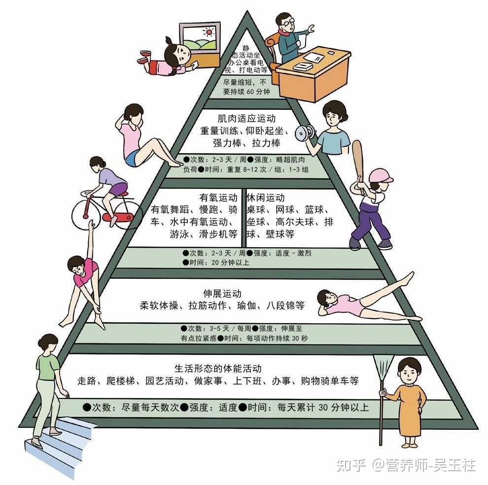 健康四大基石适量运动