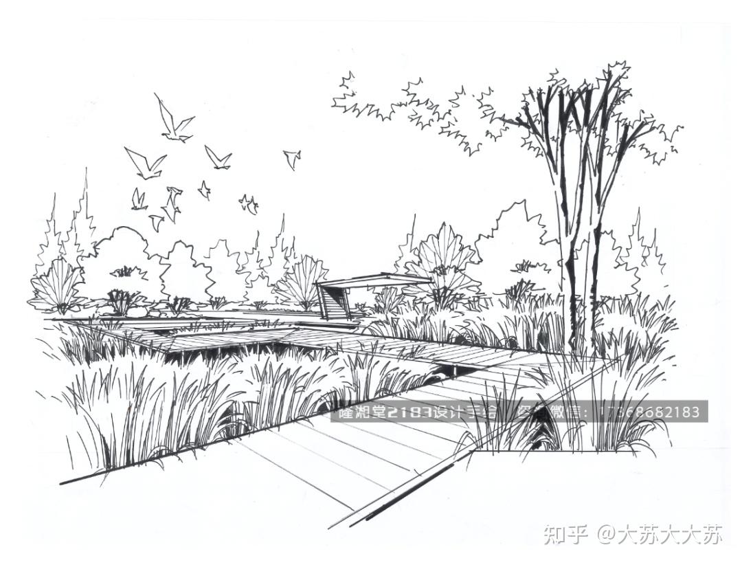 湿地公园景观设计|空间|景观设计|Wayneleo_Bo - 原创作品 - 站酷 (ZCOOL)
