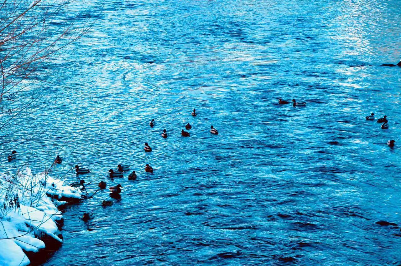 关于2018年米兰理工大学本科服装设计 目前为